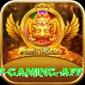 pkr333 VIP Gaming App